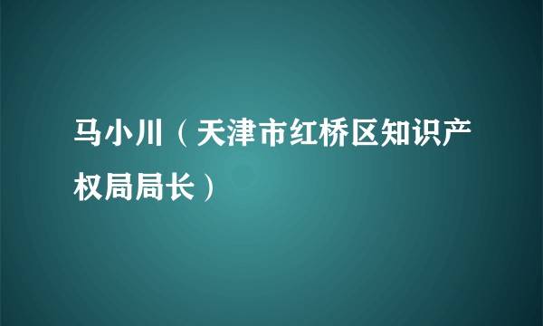 马小川（天津市红桥区知识产权局局长）