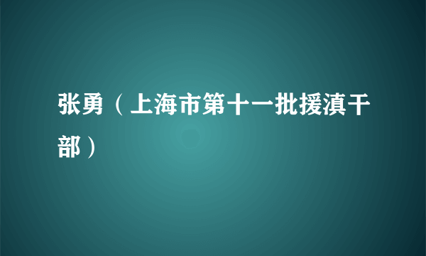 张勇（上海市第十一批援滇干部）