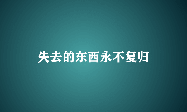 失去的东西永不复归