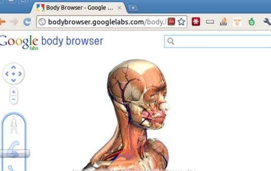 Google人体浏览器