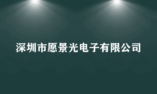 深圳市愿景光电子有限公司