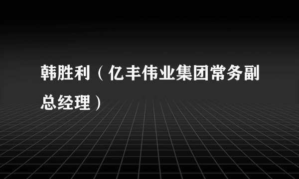 韩胜利（亿丰伟业集团常务副总经理）