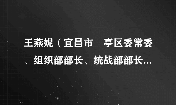 王燕妮（宜昌市猇亭区委常委、组织部部长、统战部部长，区政协党组副书记）