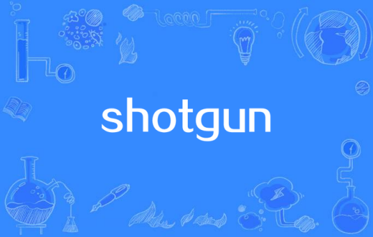 Shotgun（Camille Jones单曲）