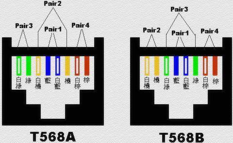 T586A