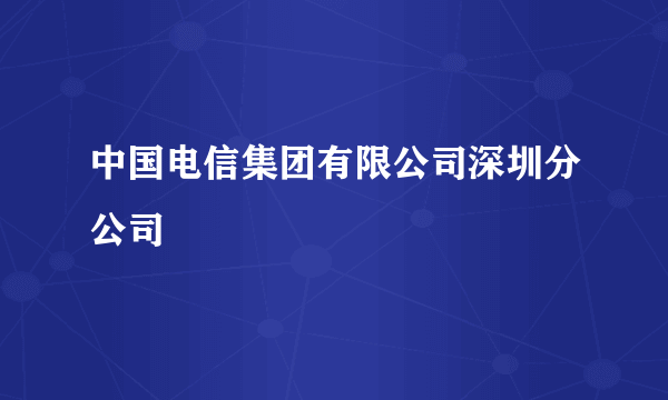 中国电信集团有限公司深圳分公司