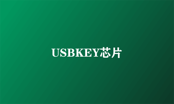 USBKEY芯片