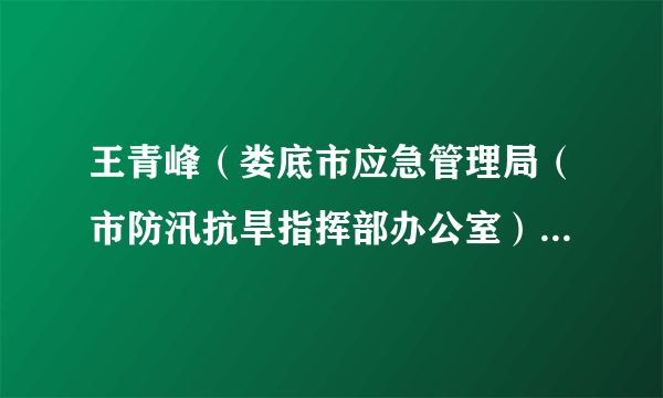 王青峰（娄底市应急管理局（市防汛抗旱指挥部办公室）副局长）