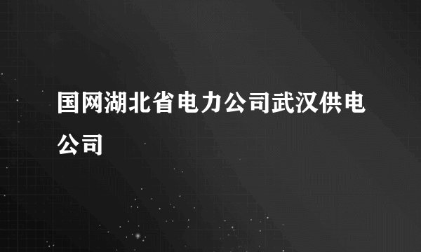 国网湖北省电力公司武汉供电公司