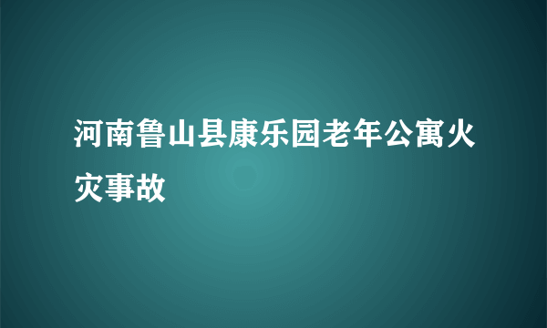 河南鲁山县康乐园老年公寓火灾事故