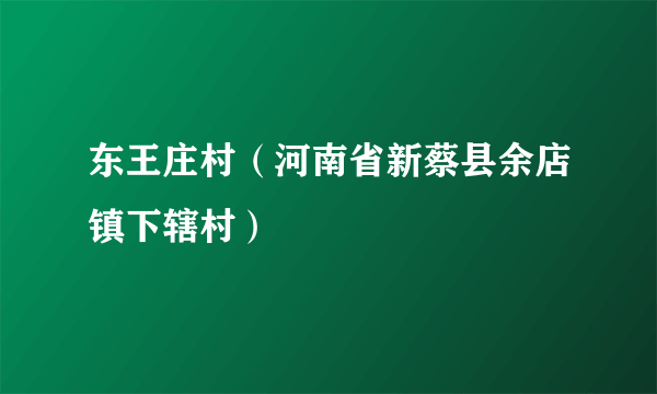 东王庄村（河南省新蔡县余店镇下辖村）