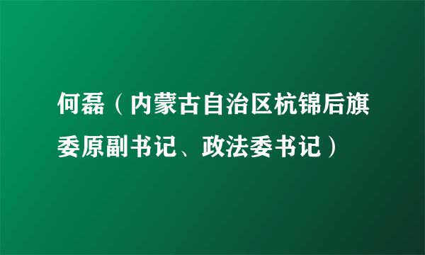 何磊（内蒙古自治区杭锦后旗委原副书记、政法委书记）