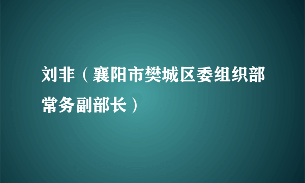 刘非（襄阳市樊城区委组织部常务副部长）