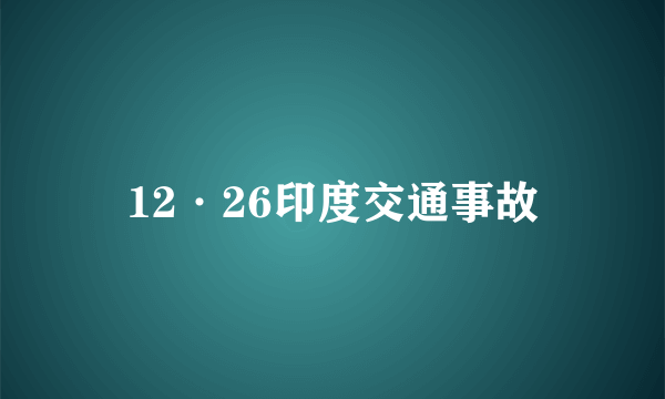 12·26印度交通事故