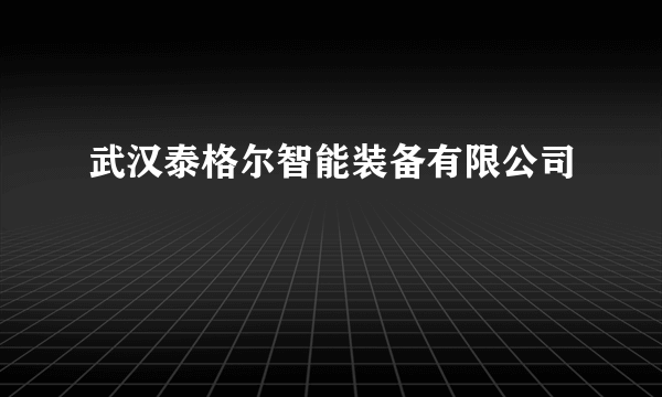 武汉泰格尔智能装备有限公司