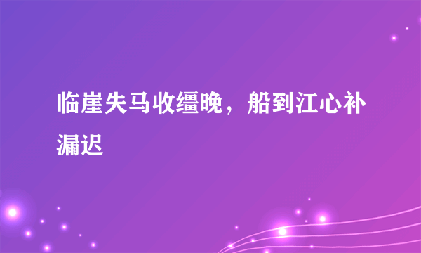 临崖失马收缰晚，船到江心补漏迟