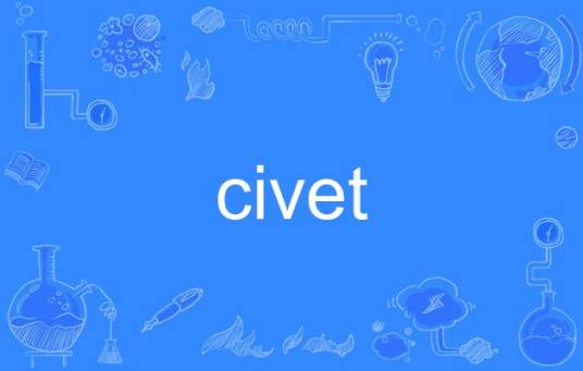 civet