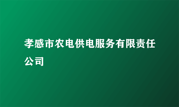 孝感市农电供电服务有限责任公司