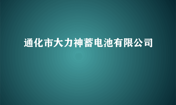 通化市大力神蓄电池有限公司