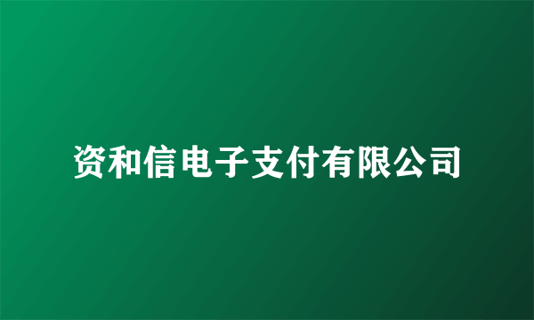 资和信电子支付有限公司