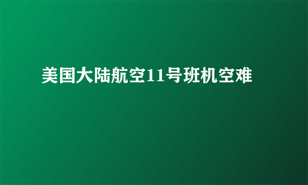 美国大陆航空11号班机空难