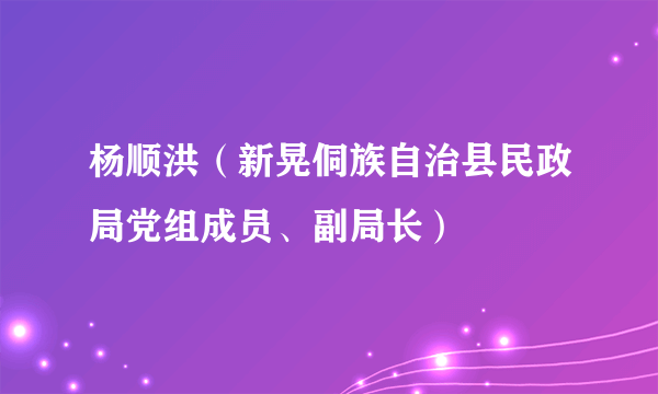 杨顺洪（新晃侗族自治县民政局党组成员、副局长）