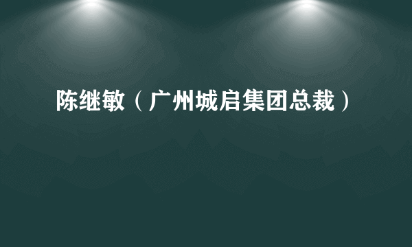 陈继敏（广州城启集团总裁）