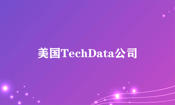 美国TechData公司