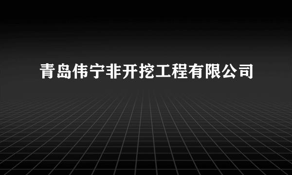 青岛伟宁非开挖工程有限公司