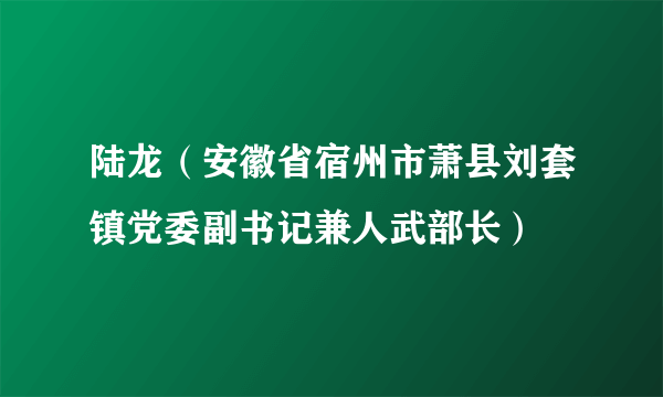 陆龙（安徽省宿州市萧县刘套镇党委副书记兼人武部长）