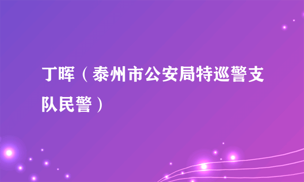 丁晖（泰州市公安局特巡警支队民警）