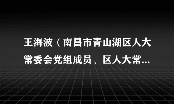 王海波（南昌市青山湖区人大常委会党组成员、区人大常委会副主任）