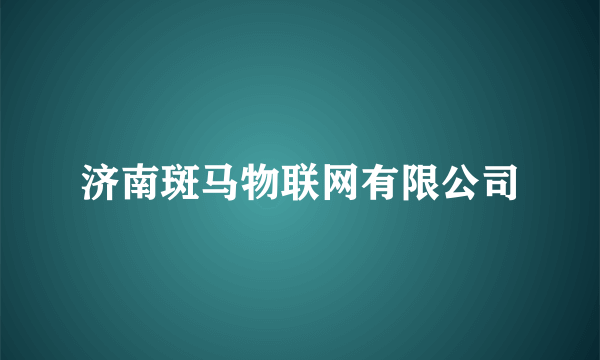 济南斑马物联网有限公司