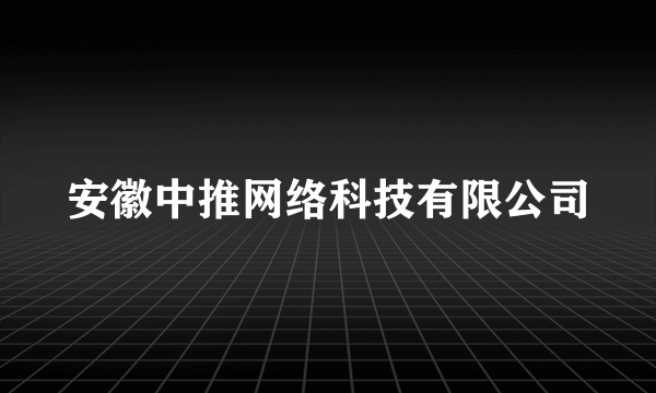 安徽中推网络科技有限公司