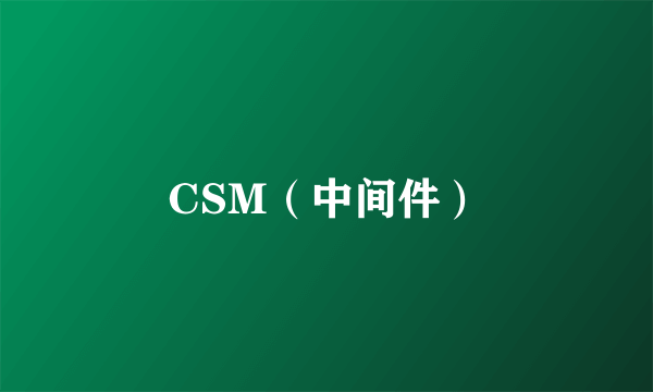 CSM（中间件）