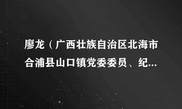 廖龙（广西壮族自治区北海市合浦县山口镇党委委员、纪委书记）