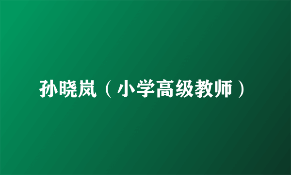 孙晓岚（小学高级教师）