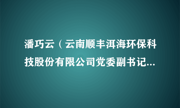 潘巧云（云南顺丰洱海环保科技股份有限公司党委副书记， 副总经理工会主席，大理州总工会第十届常务委员会委员）