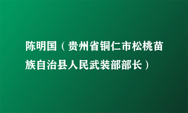 陈明国（贵州省铜仁市松桃苗族自治县人民武装部部长）