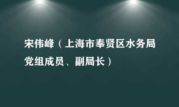 宋伟峰（上海市奉贤区水务局党组成员、副局长）