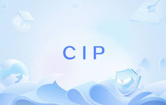 CIP（其他缩写含义）