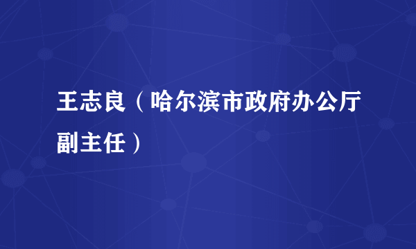 王志良（哈尔滨市政府办公厅副主任）