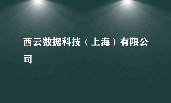 西云数据科技（上海）有限公司