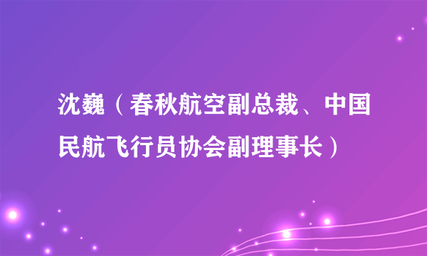 沈巍（春秋航空副总裁、中国民航飞行员协会副理事长）