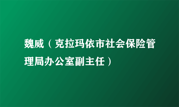 魏威（克拉玛依市社会保险管理局办公室副主任）