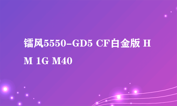 镭风5550-GD5 CF白金版 HM 1G M40