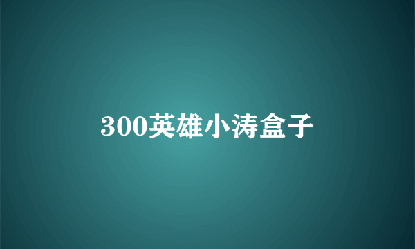 300英雄小涛盒子