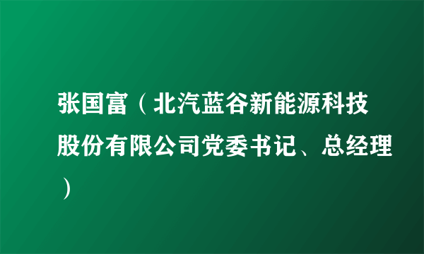 张国富（北汽蓝谷新能源科技股份有限公司党委书记、总经理）