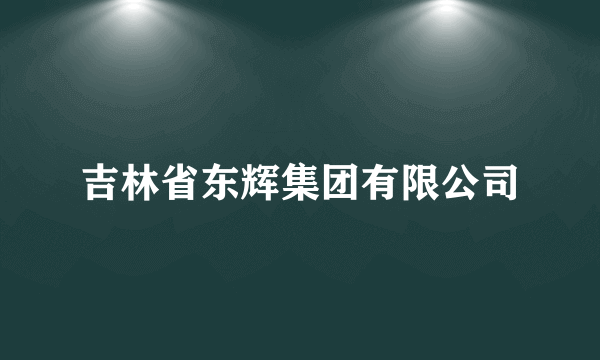 吉林省东辉集团有限公司