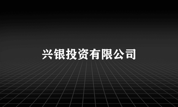 兴银投资有限公司